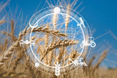 La invasión rusa de Ucrania añade nuevas presiones sobre los precios agrícolas.
